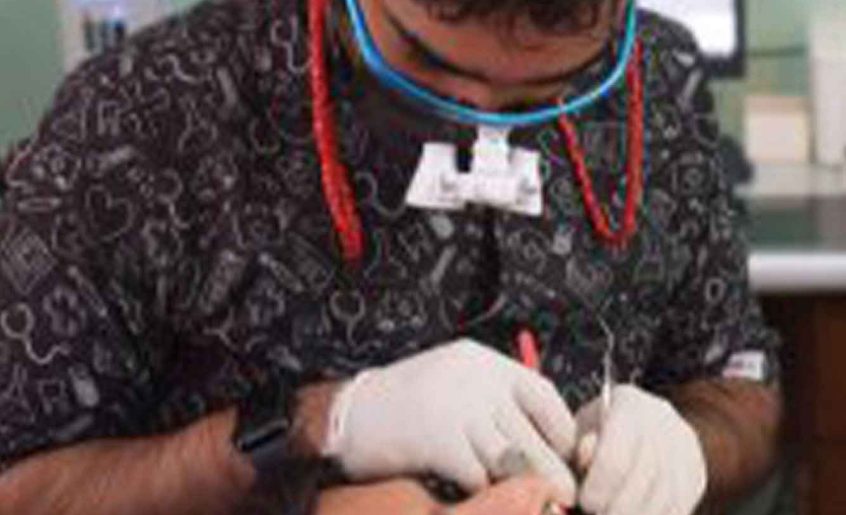 Children’s Dentist Guide Preventing Cavities Early